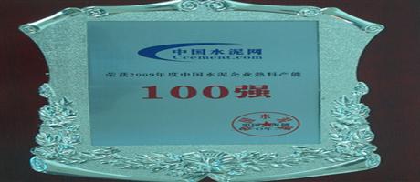 2009年度中国水泥企业百强